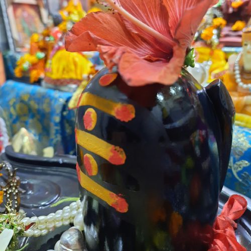 Shiv Mahimna Stotra Shiv Mahimna Stotra is a revered hymn dedicated to Lord Shiva, extolling his greatness and divine attributes. It is believed that reciting this stotra brings spiritual growth, inner peace, and blessings from Lord Shiva.Learn More